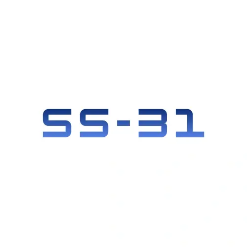 SS-31 illustration